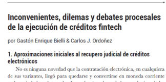 Doctrina – «Inconvenientes, dilemas y debates procesales de la ejecución de créditos Fintech».